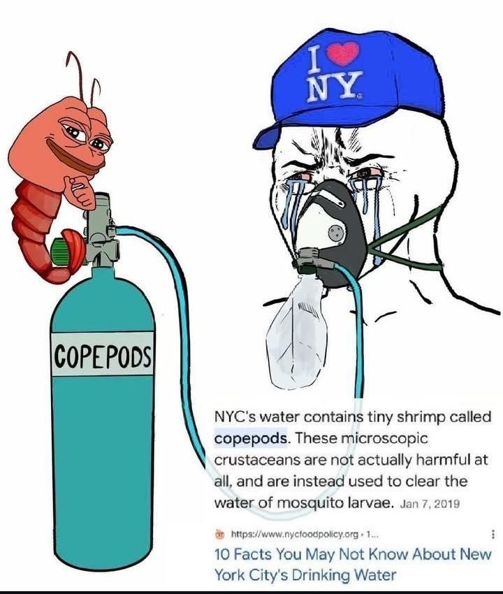 brudi_lambo tweet media