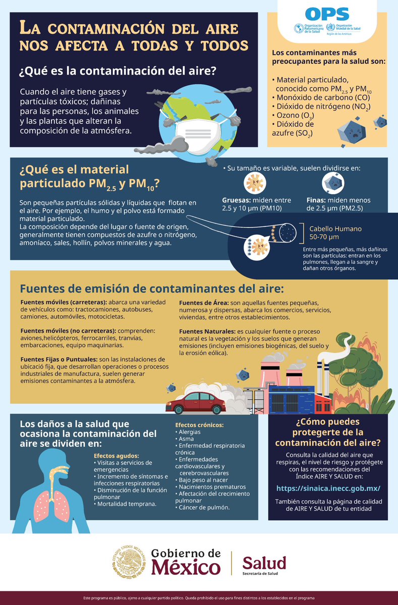 INSP México tweet media