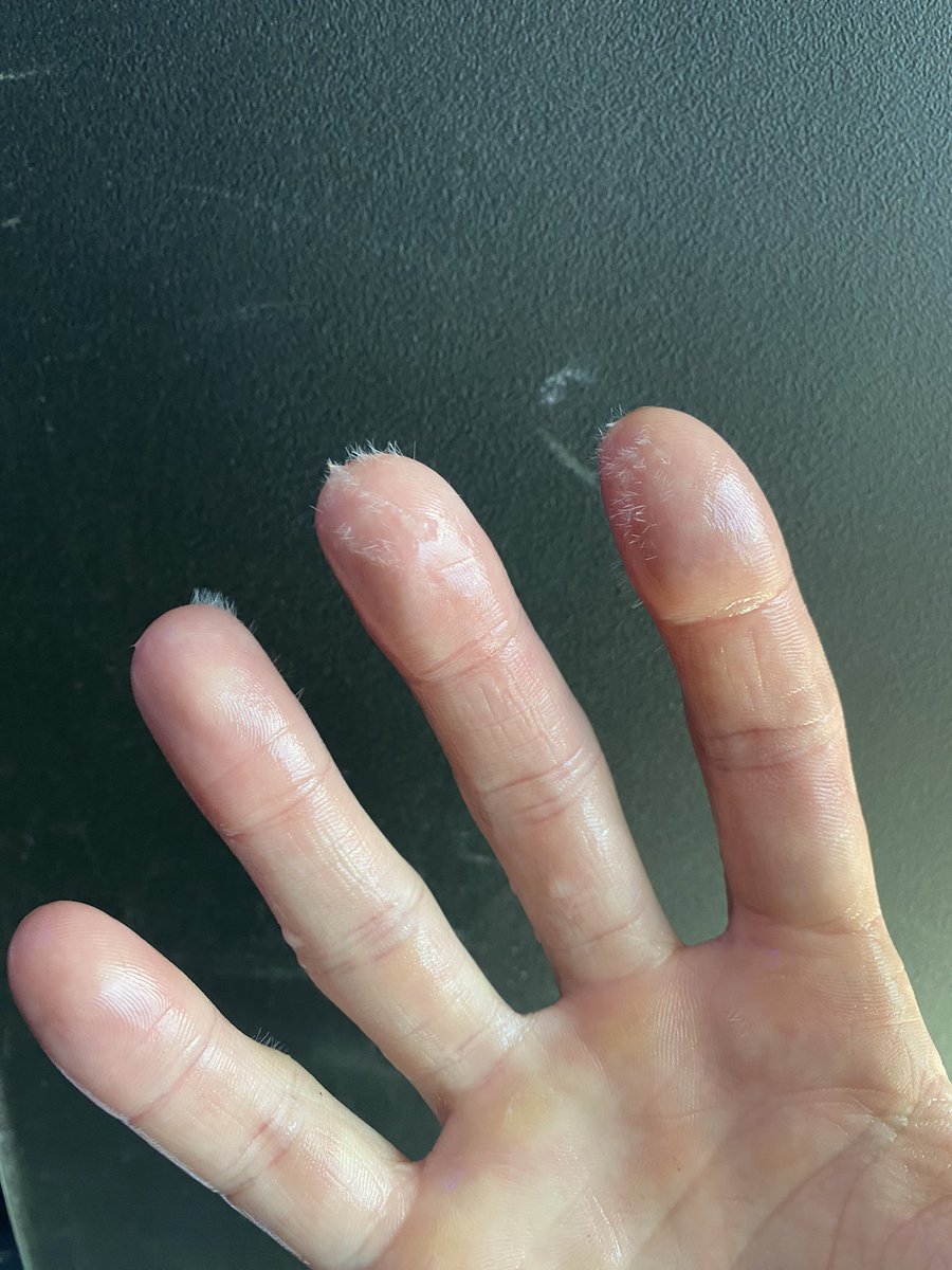 tautonymph tweet media