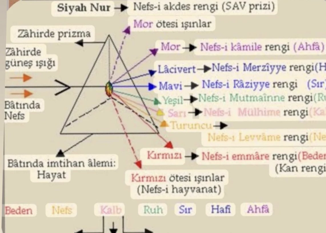 aslankalcasi tweet media