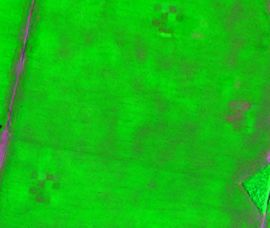 daniel_pperez's tweet photo. Secuencia de ensayos, RGBS2 y  la mapa de cosecha. Nos permite evaluar el comportamiento  a diferentes practicas de manejos y en situaciones contrastantes. Luego se agregan a un análisis mas global que incluye clima, suelo y agua. 

El monitor de cosecha estufo fino (ultima foto) https://t.co/3ERwTVE22V