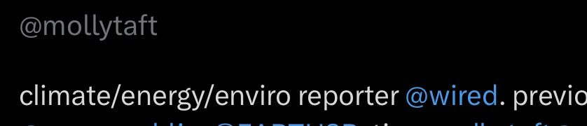 lauren tweet media