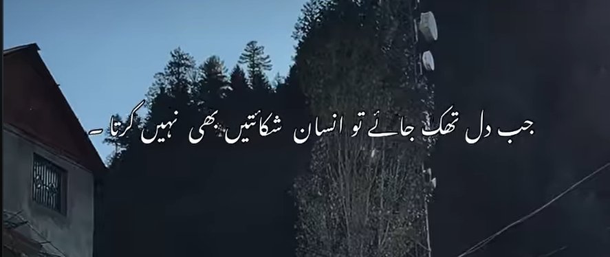 a•🇵🇸 tweet media