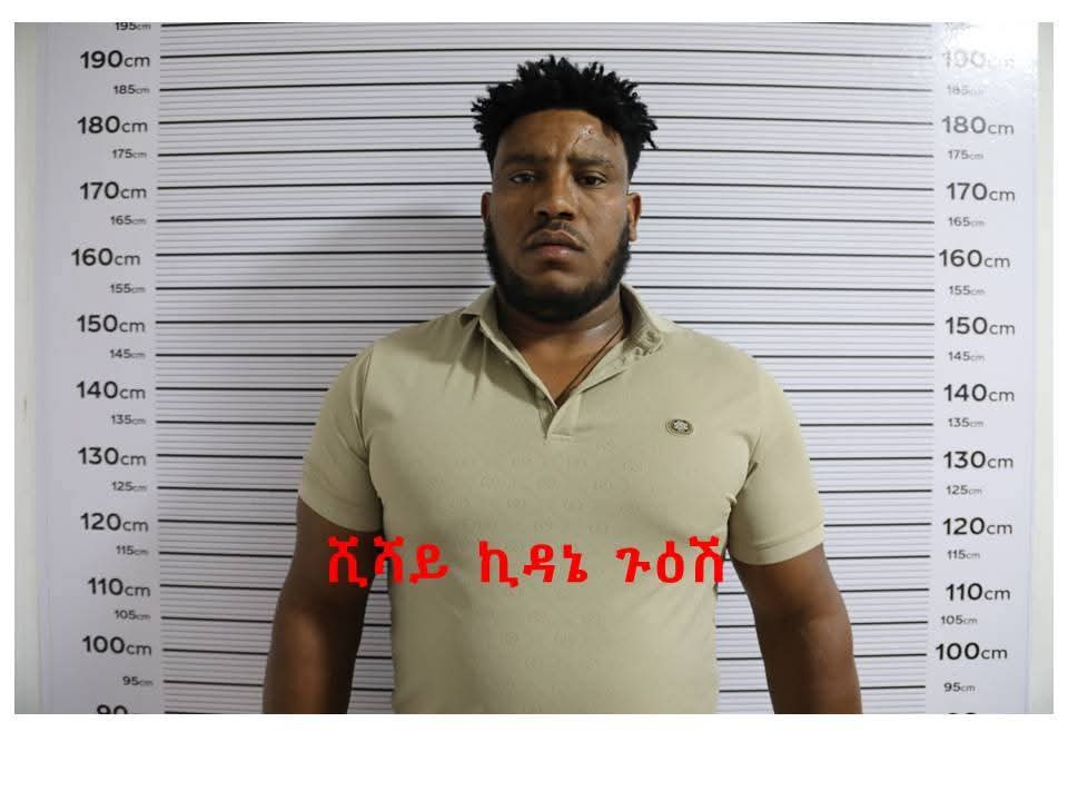 Meredit Fernandez tweet media