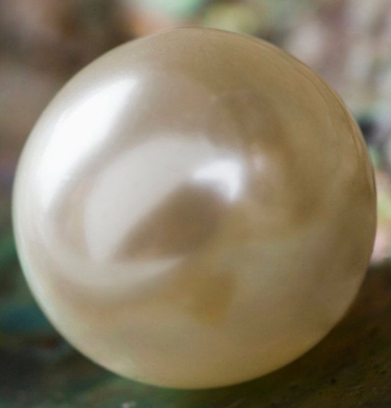 ♡ Tie ♡ tweet media