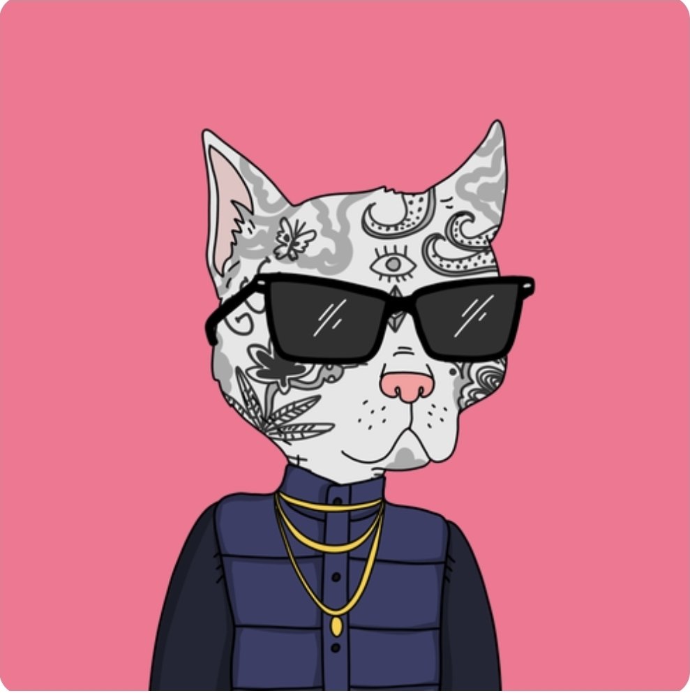 Poppa aka MrShades tweet media