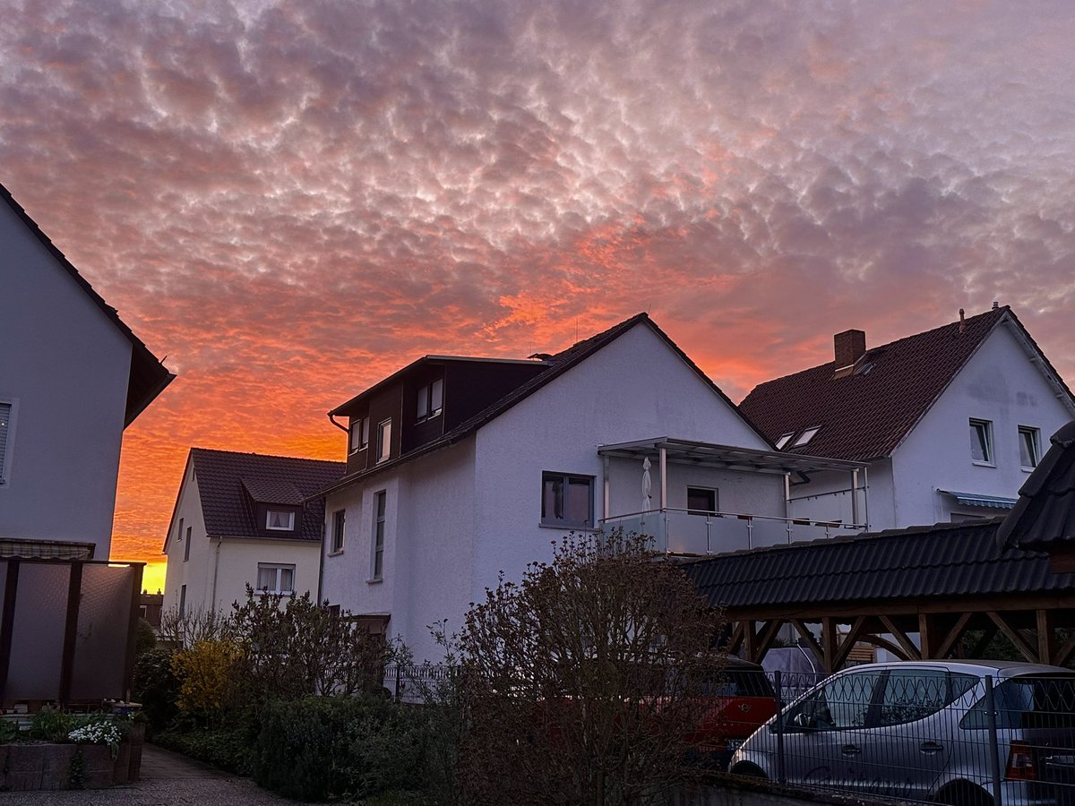 Ahwar🚩 tweet media