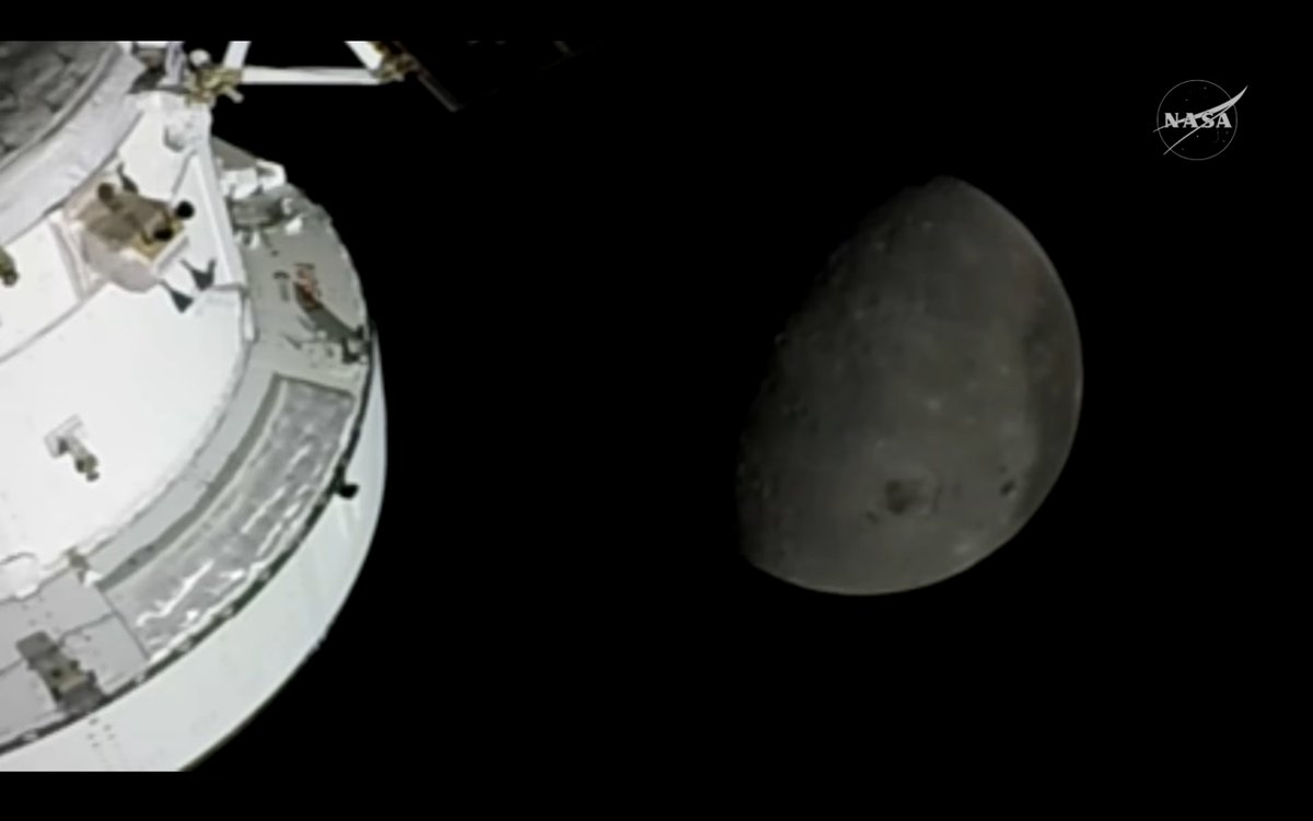 Bubblehead Logic tweet media