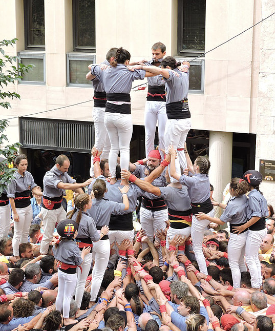 Revista Castells tweet media