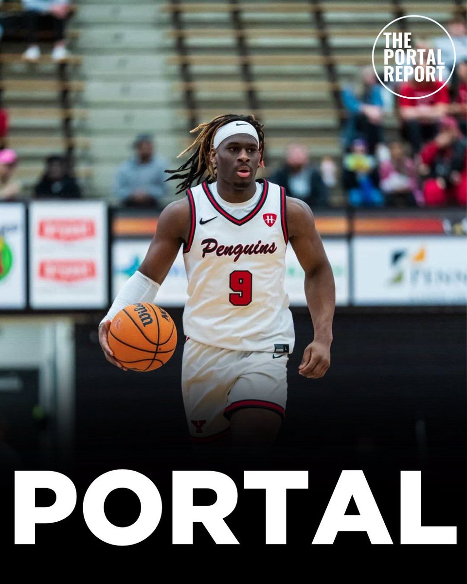 The Portal Report tweet media