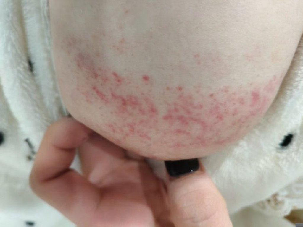 مني محمد tweet media