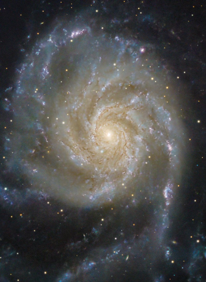 Black Hole tweet media