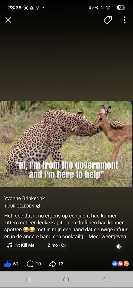 Max van den Berg tweet media