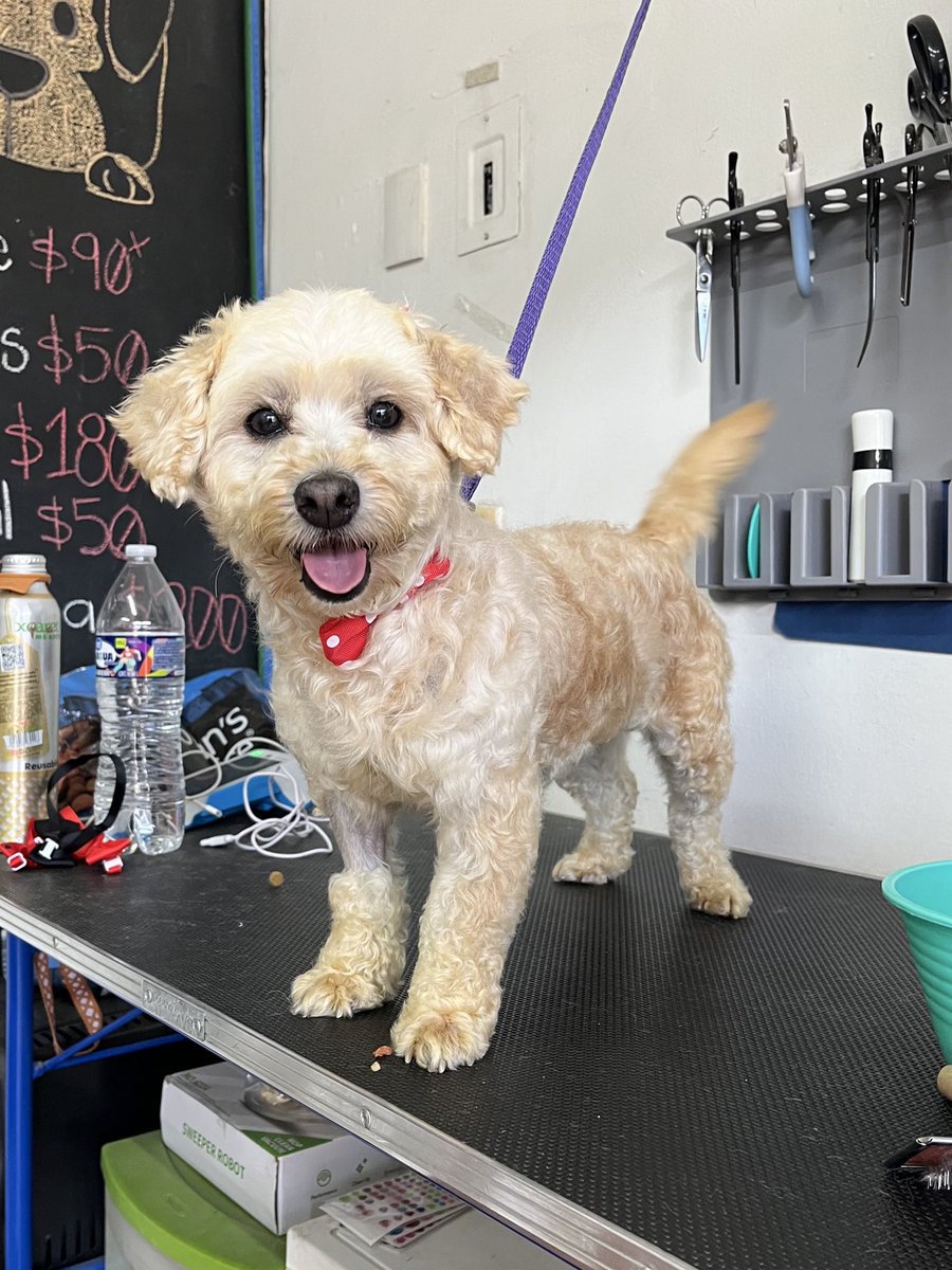 𝙷𝚎𝚕𝚊 𝙼𝚘𝚛𝚎 🐶 tweet media