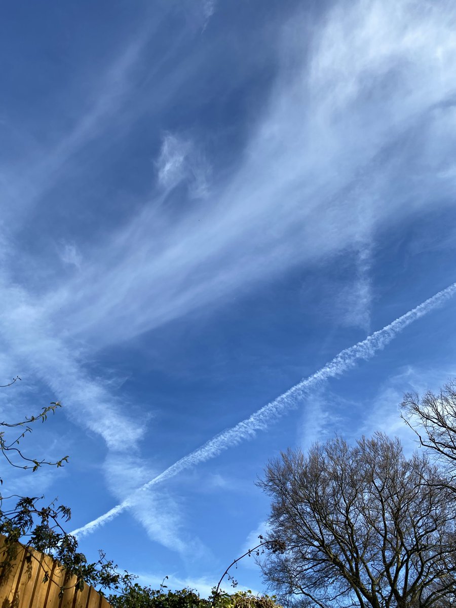 𝓓𝓮𝓵𝓾𝔁𝓮🇬🇧 tweet media