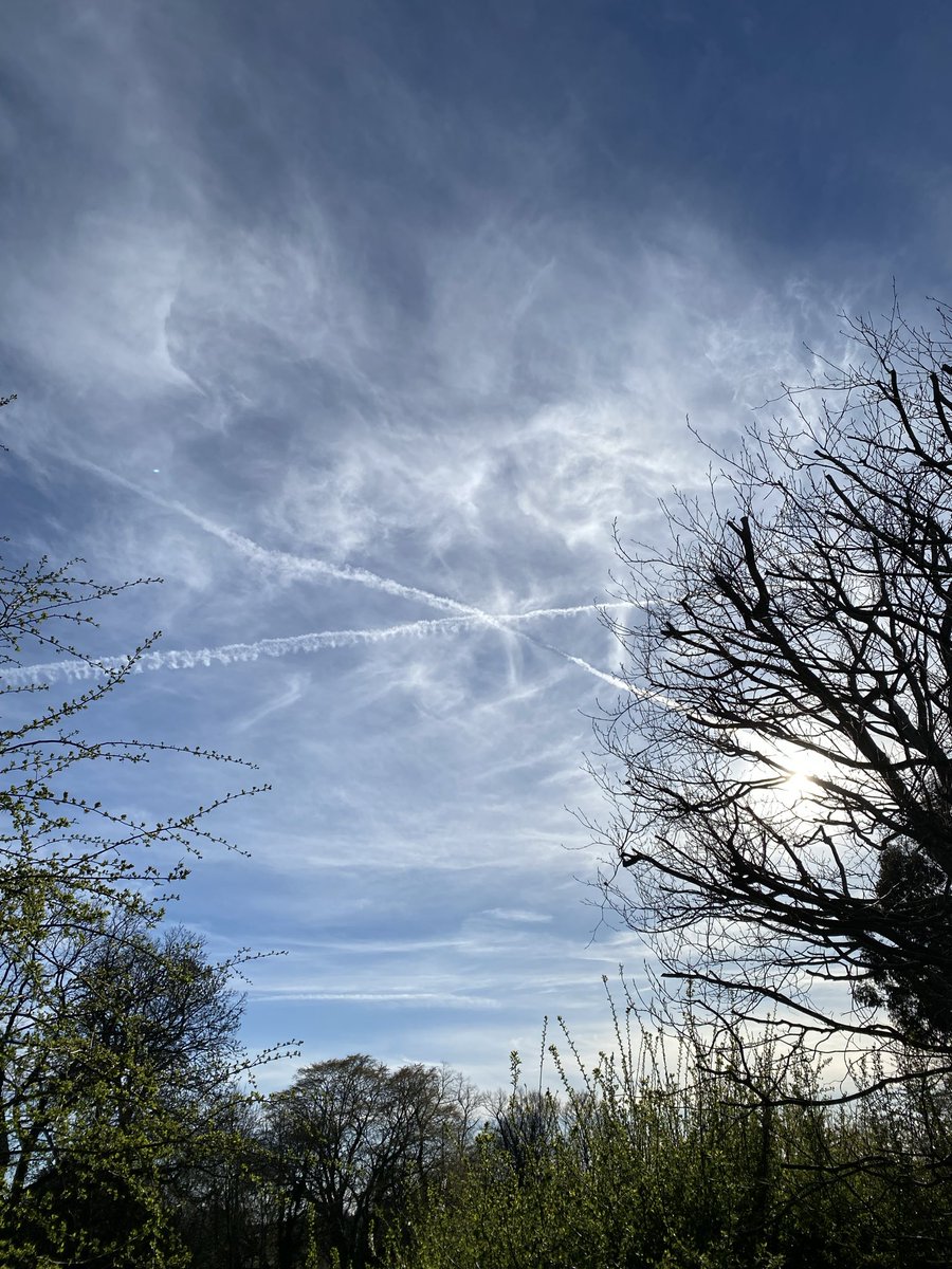 𝓓𝓮𝓵𝓾𝔁𝓮🇬🇧 tweet media