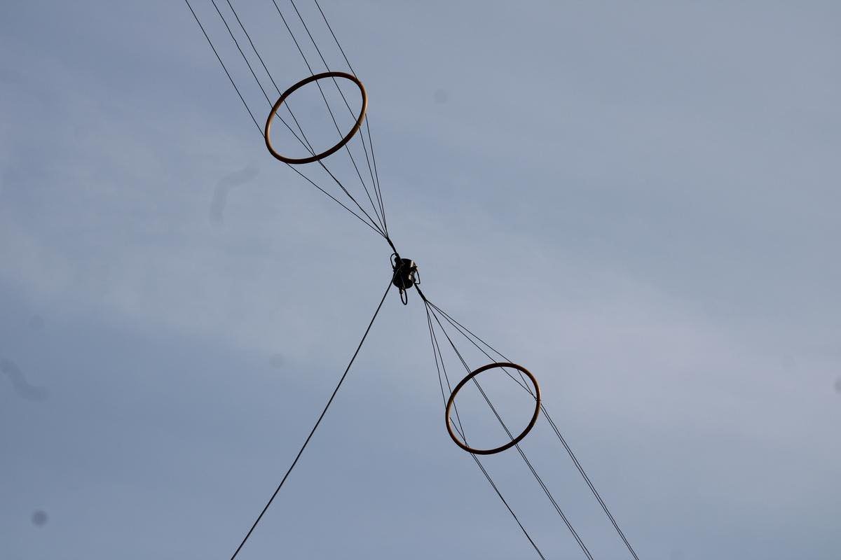 RossRadio tweet media