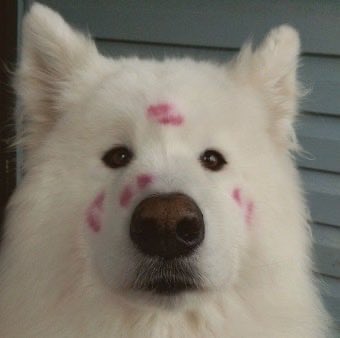 찌릿핑 tweet media