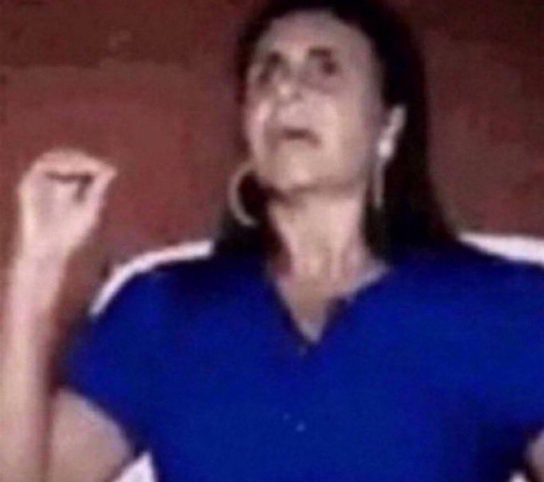 acervo das destruidoras de lares tweet media