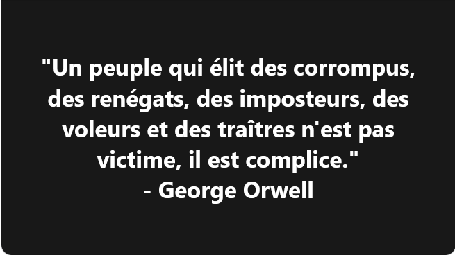 Plumo Paranto tweet media