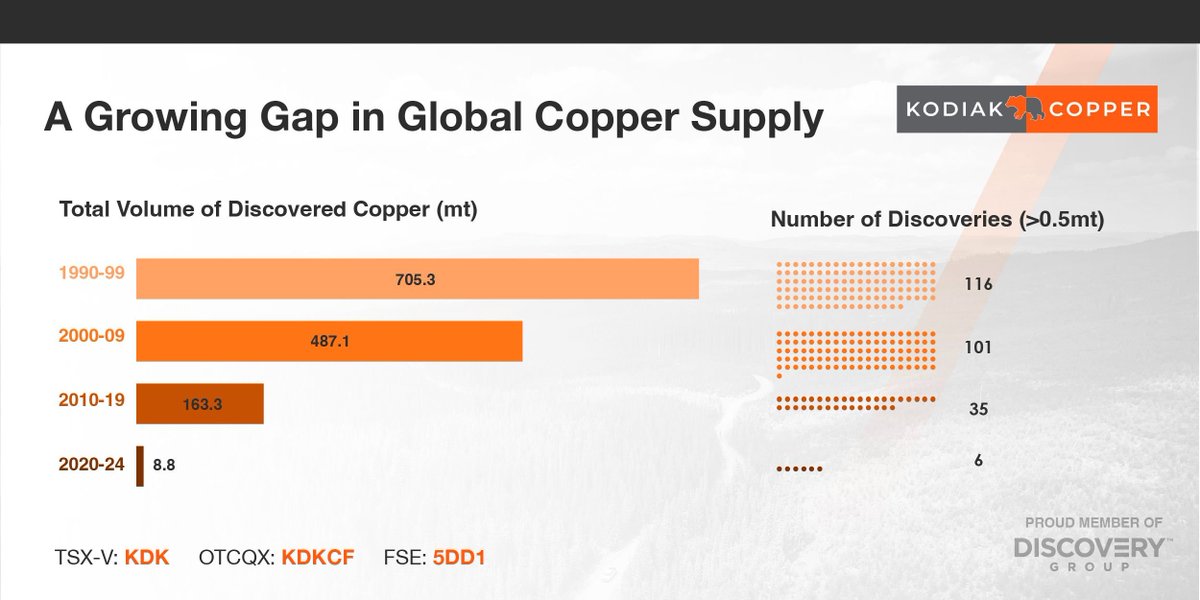 Paola Rojas 🐝 tweet media