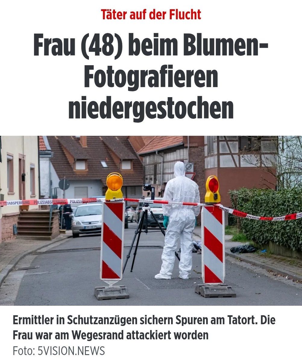 Waldhüterin 🌲🍄 tweet media