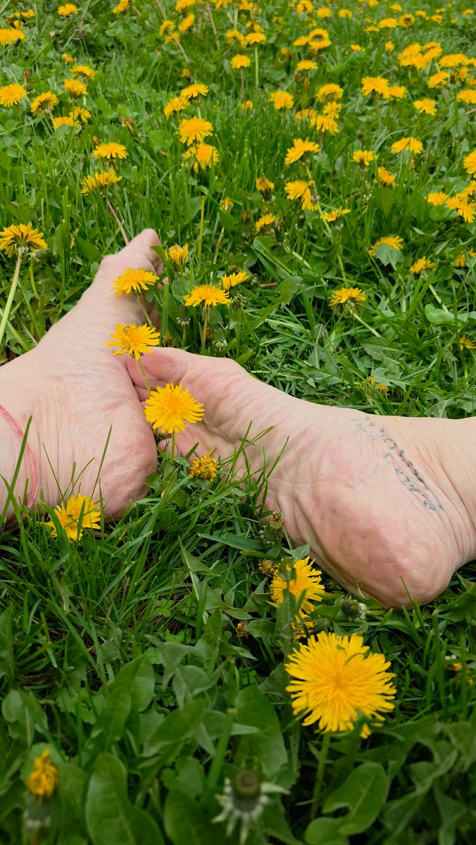 steppinstills tweet media