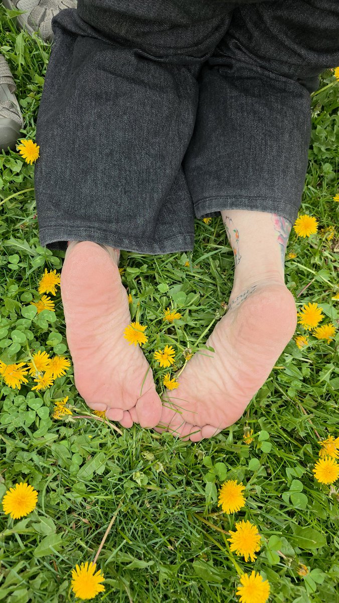 steppinstills tweet media