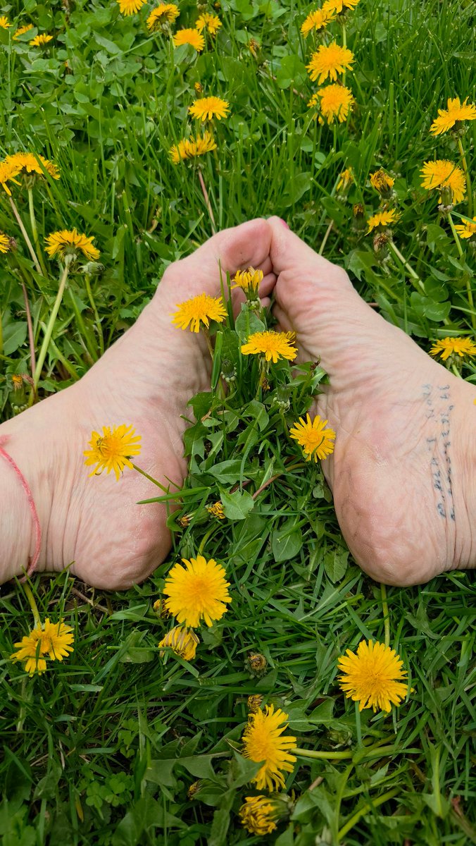 steppinstills tweet media