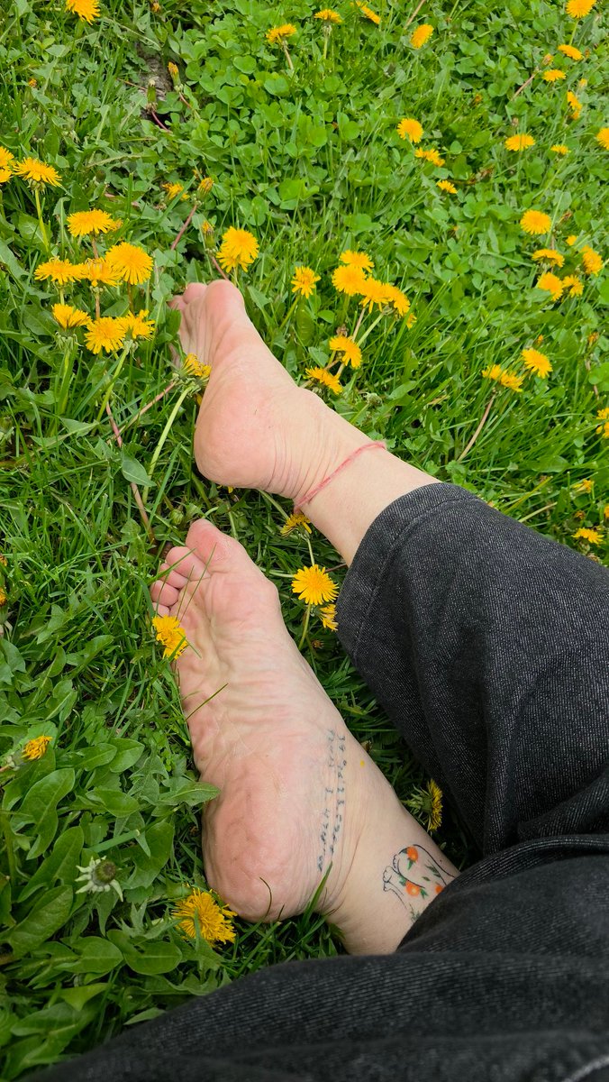 steppinstills tweet media