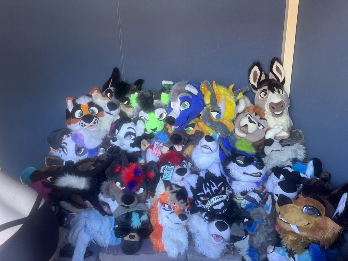 Marsssss 🔜 TFF, LVFC tweet media