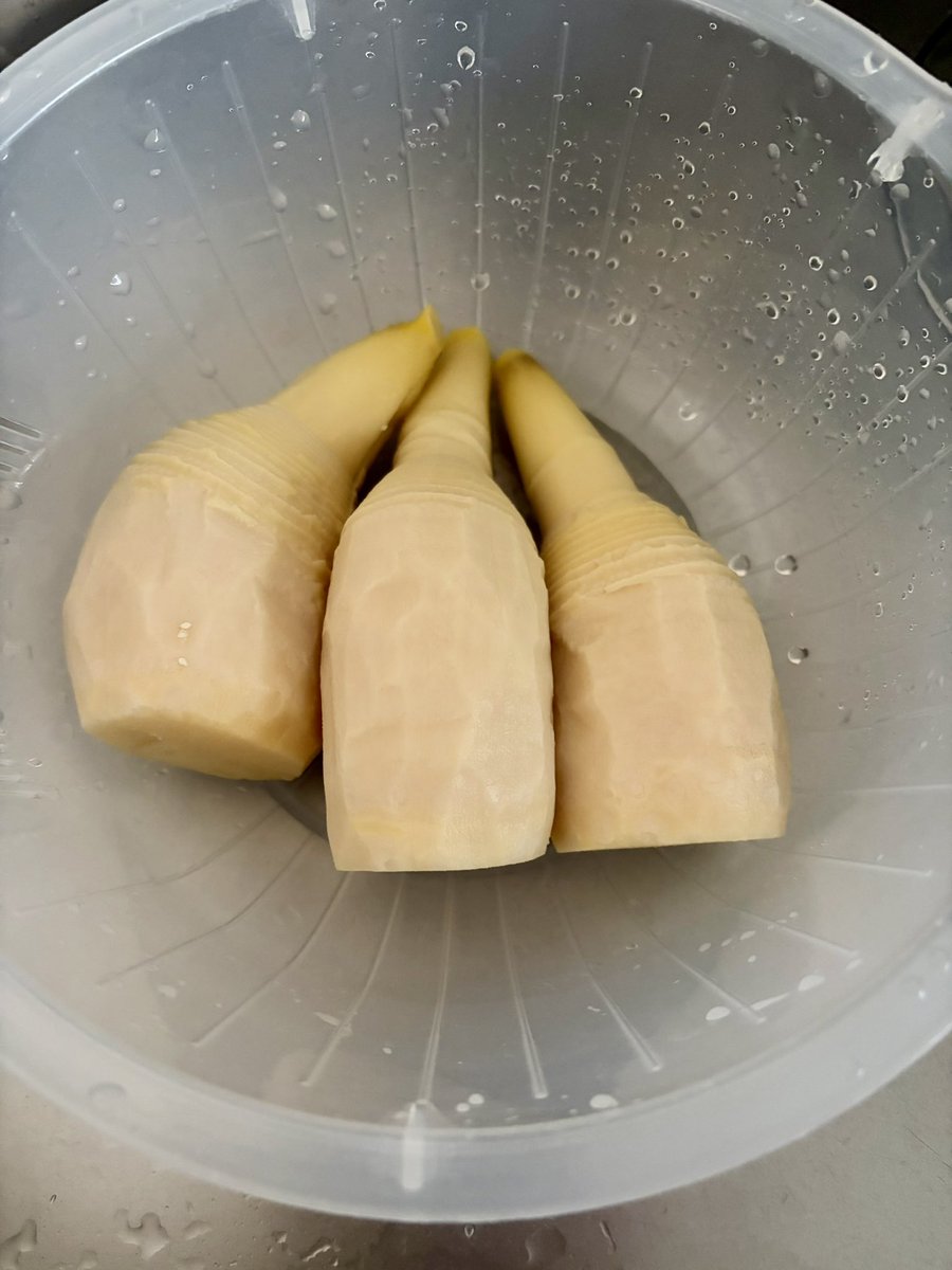 山川亜弥 tweet media