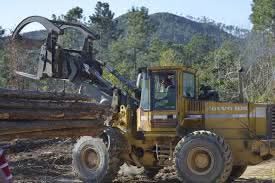 Eumelin González Sánchez tweet media