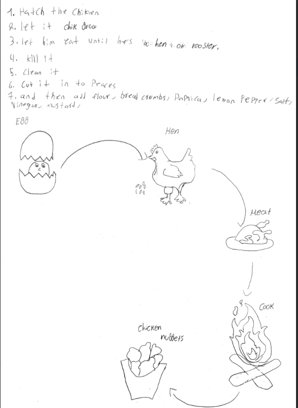 Huge congratulations to Team Chicken Nugget 🐔✨ for completing their Post-Observation for Lesson Study Cycle 2!
This cycle truly brought learning to life as the team anchored instruction in a real-world phenomenon, exploring where chicken nuggets come from, and used it as a