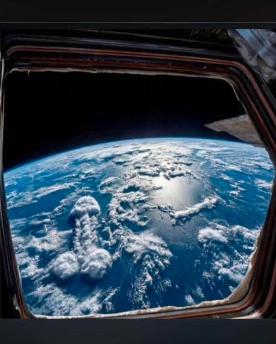 Pvt. Snarky Fella 🦩 ꏢ ї 🦉 tweet media