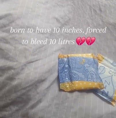 ~auline~ tweet media