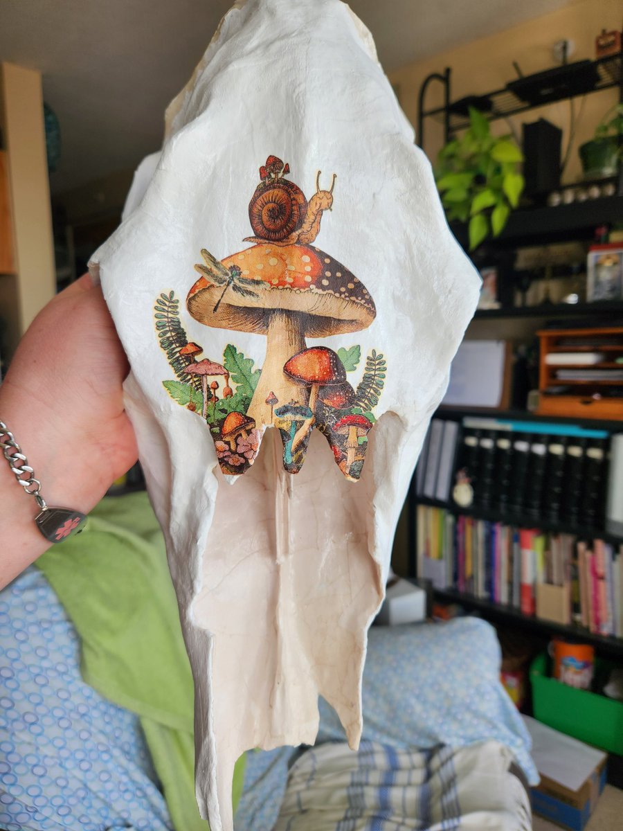 Danice (it's 'Danis' not Denise) tweet media