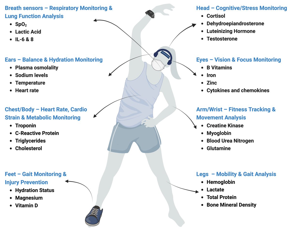 CanDincer83's tweet photo. Wearables are evolving — from tracking activity to understanding physiology⌚️In sportärztezeitung, we explored devices that read biochemical signals from sweat, interstitial fluid and even breath — enabling continuous, noninvasive health monitoring🤩

https://t.co/vx6jpCIRwK https://t.co/p0chelWO1u