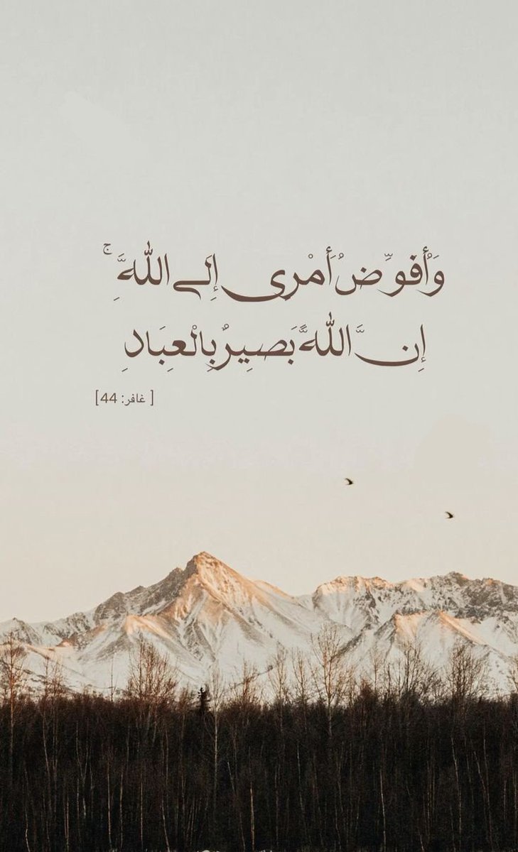 مُطمئِنةَ.! tweet media