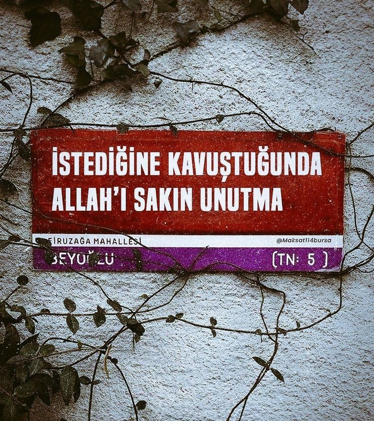 İstediğine kavuştuğunda Allah'ı sakın unutma.