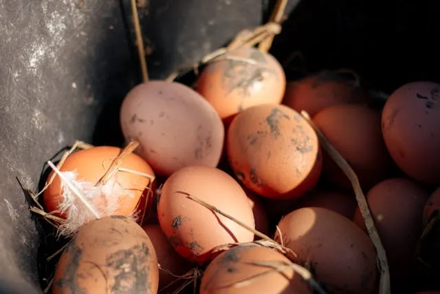 Grace Bloom tweet media