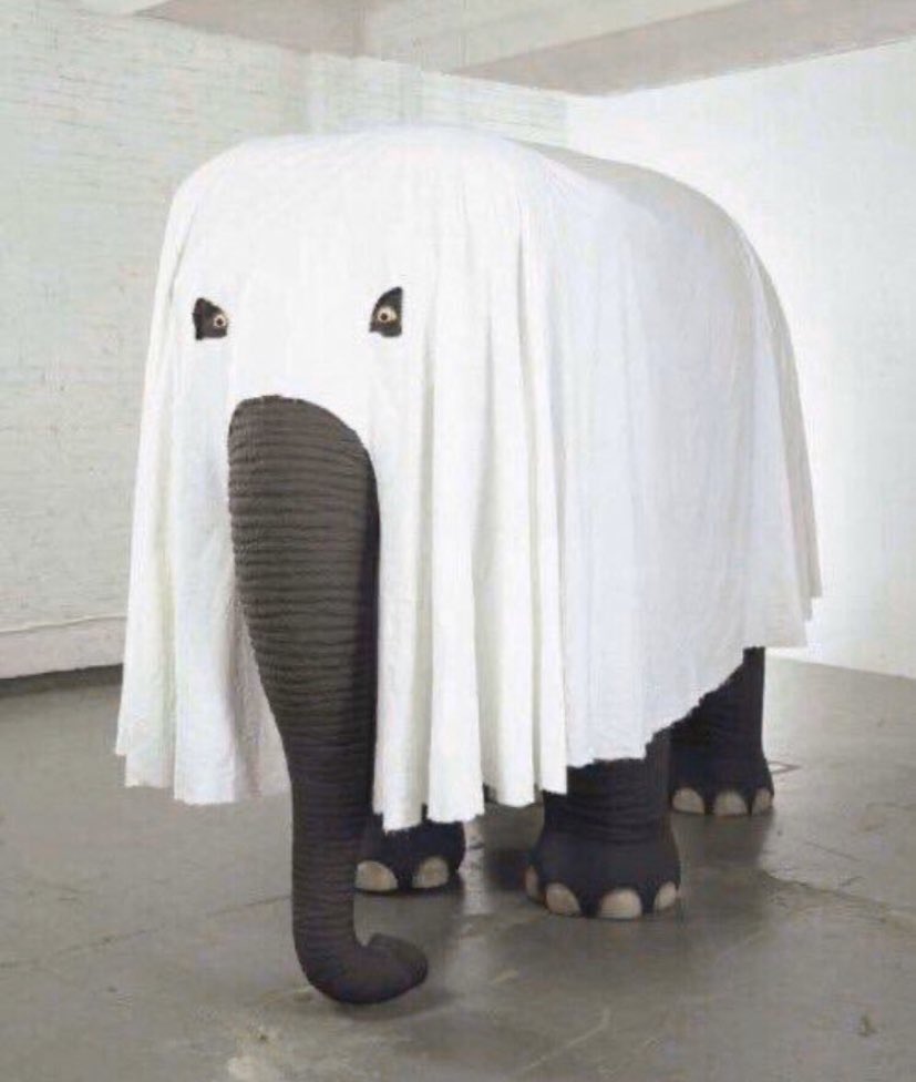 حزام الخولاني tweet media