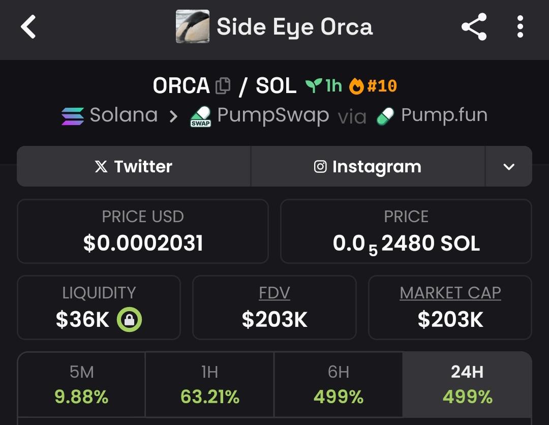 Raghavak0nSol's tweet image. 6x ✅✅✅✅✅✅✅✅✅✅✅✅✅ 

$ORCA

MCAP: $204K

CA:
6S7pM7mSq474m8UB9uLbw43zu7VxXFBXmhP5NNSZpump

#SOL
#ORCA