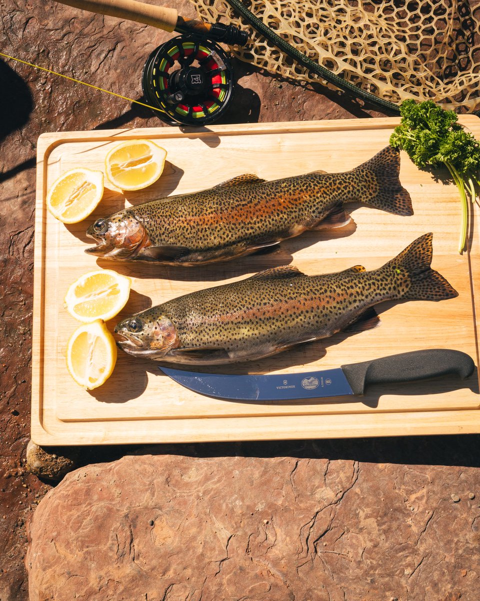 Field & Stream tweet media