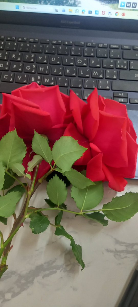 عتيقة 🇲🇦 tweet media