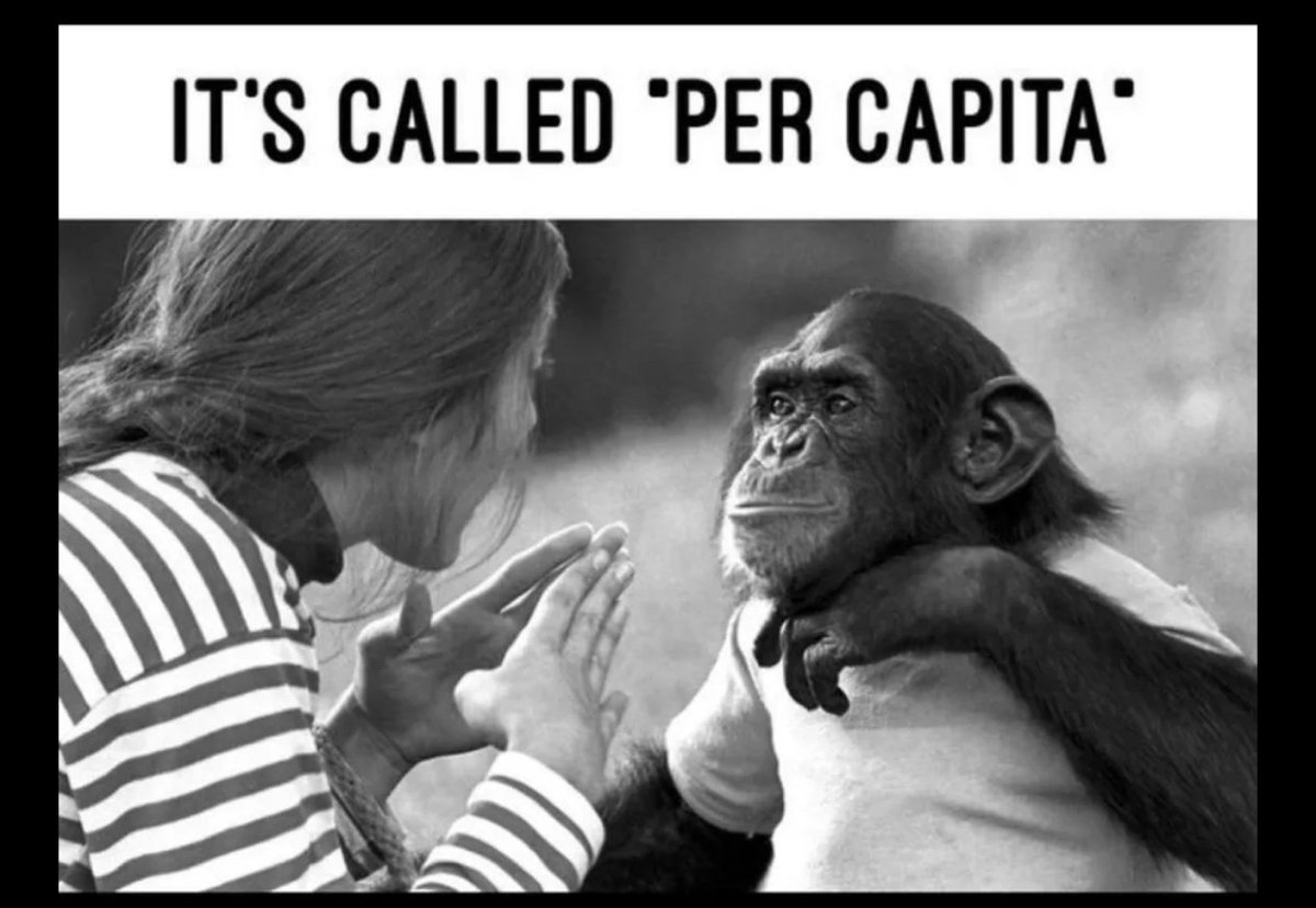 Be More Funny tweet media