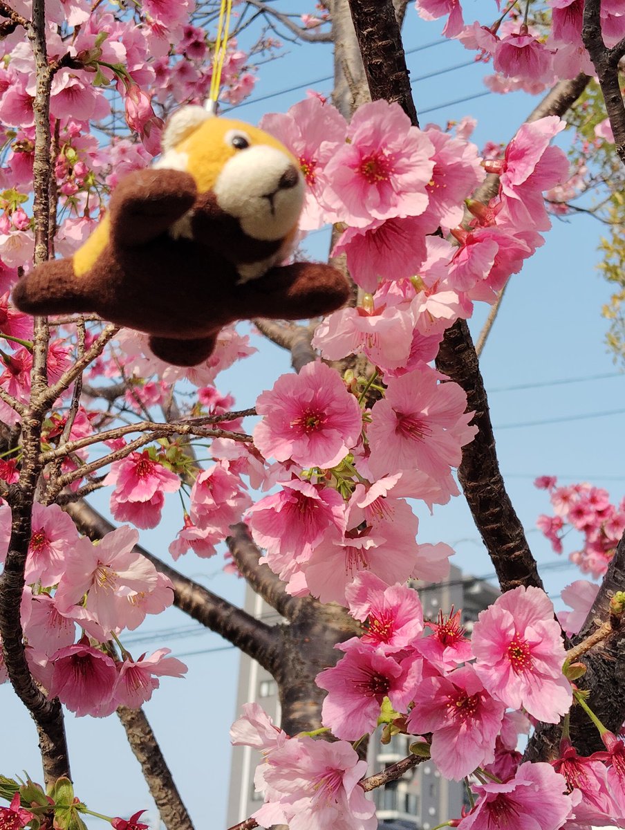 Kizuใฉใ ใ tweet media