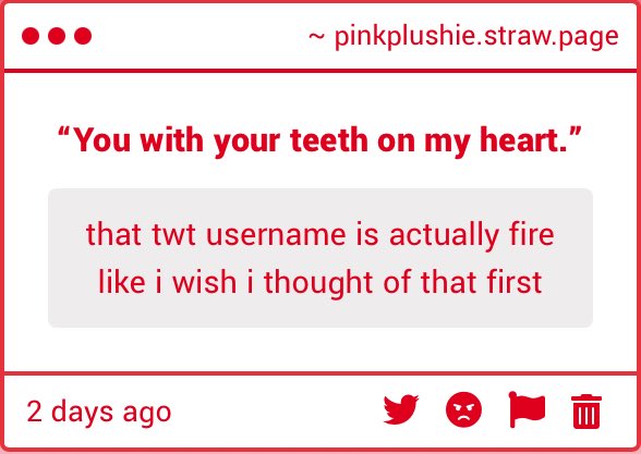 vee 🪷 tweet media