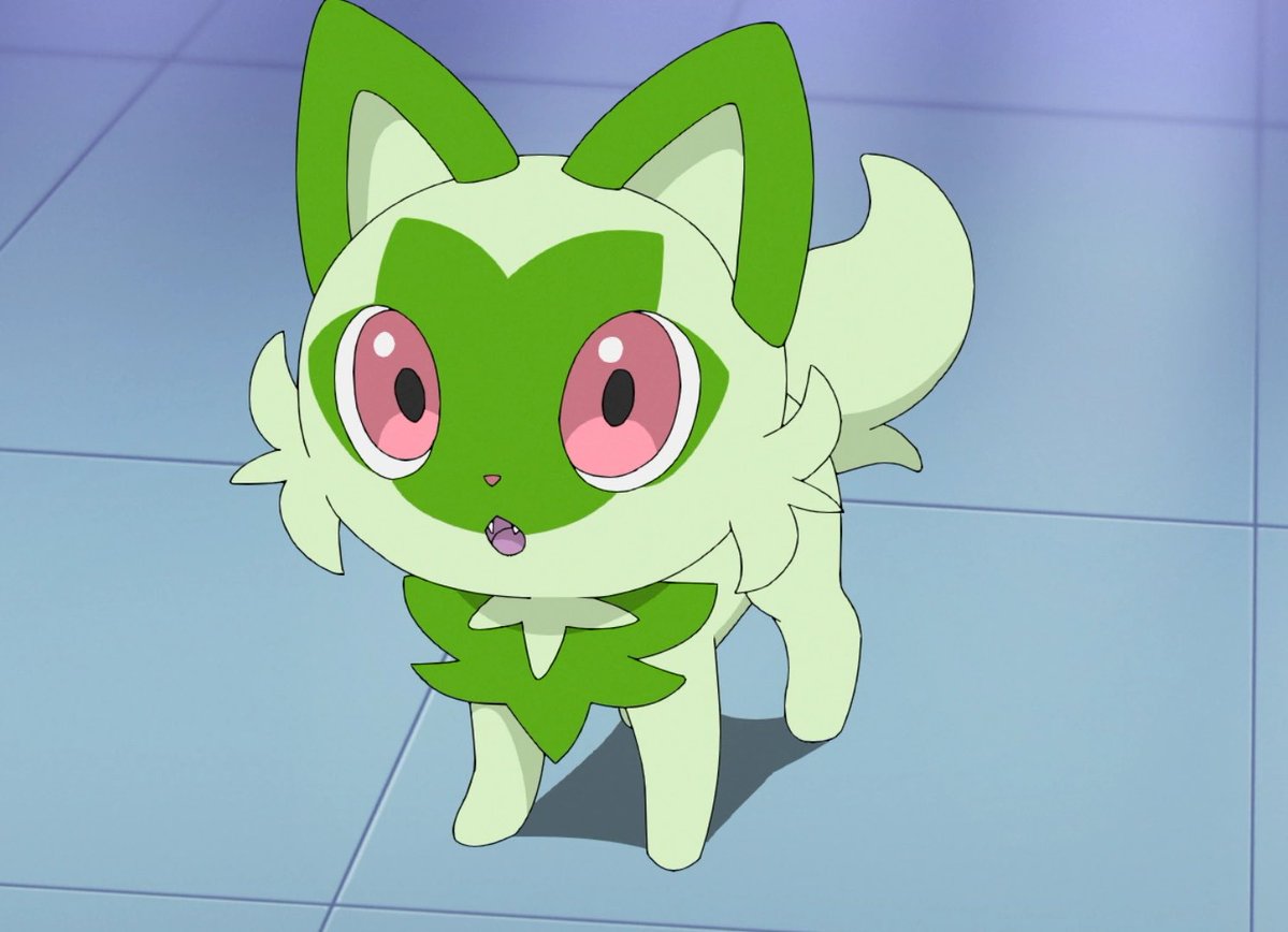 All about Aaron Chou-Chou tweet media