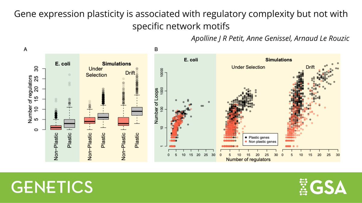 Genetics Society of America tweet media